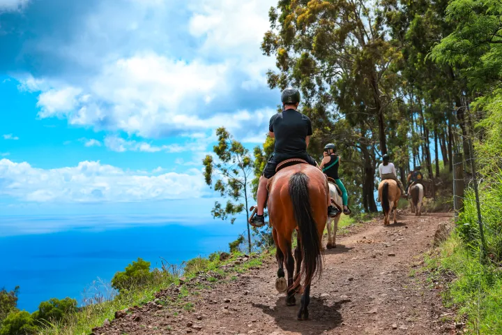 People horseback riding on a trail by the ocean under a blue sky.
