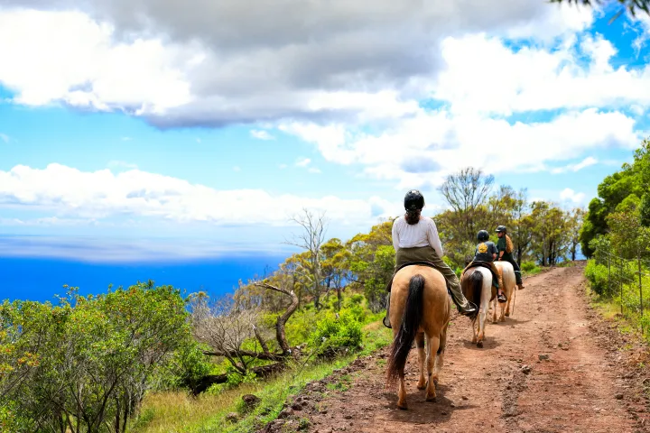 Three people horseback riding on a trail overlooking the ocean.