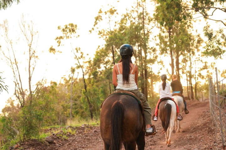 People horseback riding on a dirt trail through a forest.