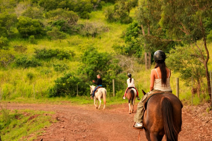 Three people horseback riding on a dirt path through a grassy, wooded landscape.