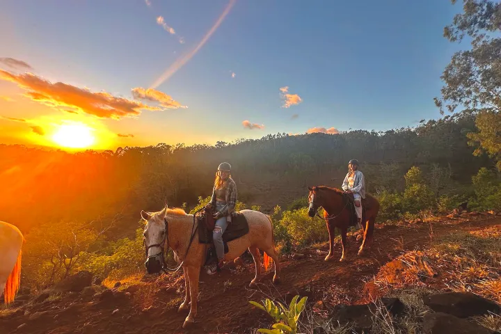 a group of people riding on the back of a horse