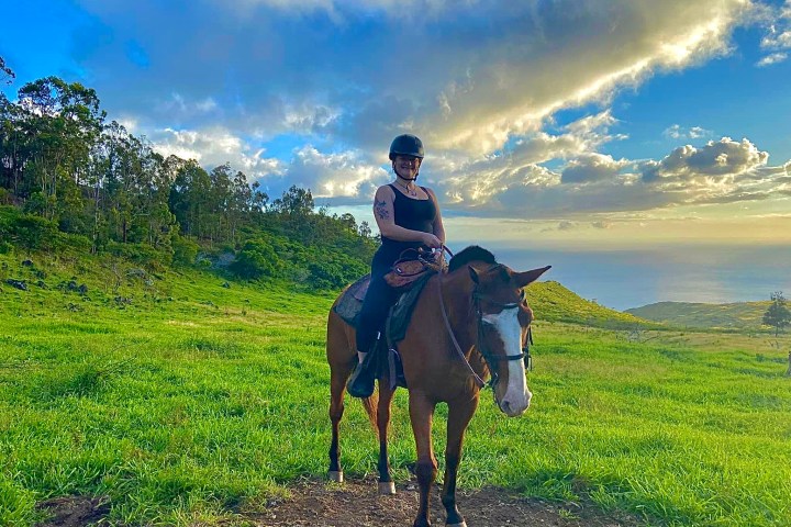 a person riding a horse in a field