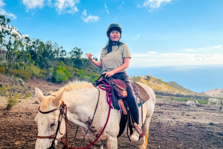 Person riding a white horse on a dirt trail, with trees and cloudy sky in the background.