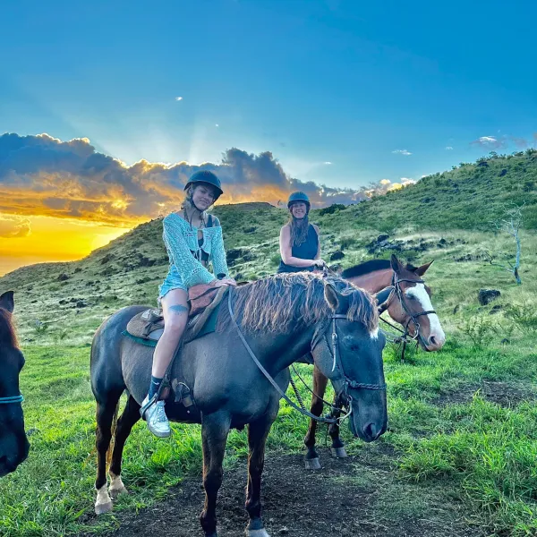 a group of people standing next to a horse in a field