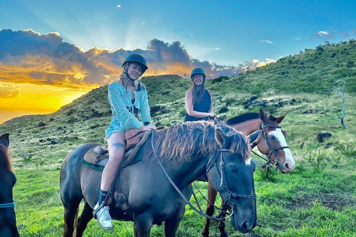 a group of people standing next to a horse in a field