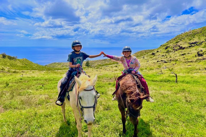 a man riding a horse in a field