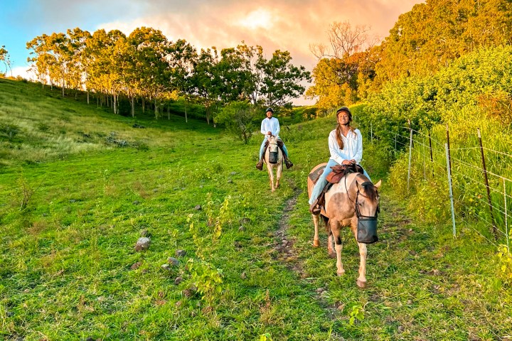 Two people riding horses on a grassy hill under a blue sky with clouds.
