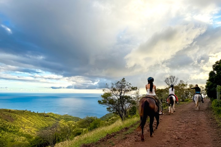 People horseback riding on a scenic trail overlooking the ocean.