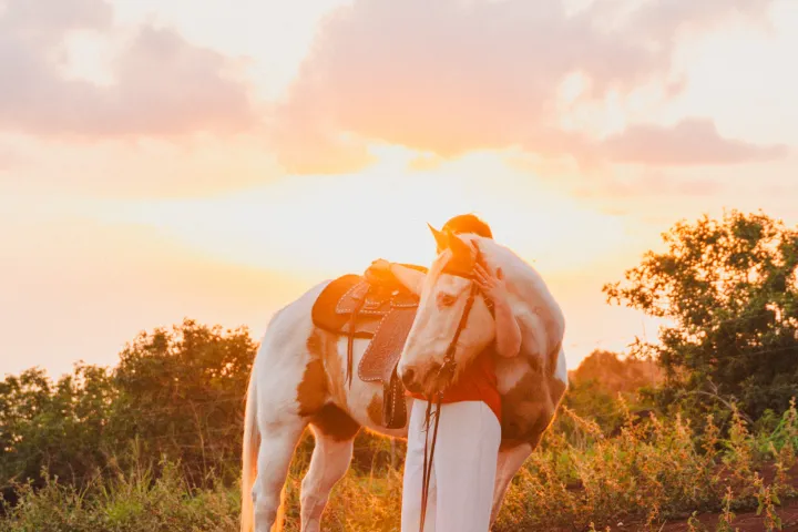 a cow standing on top of a grass covered field
