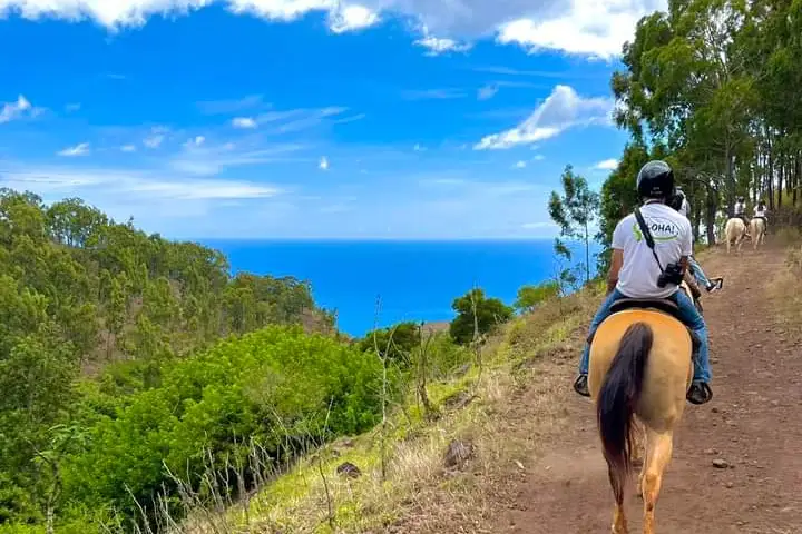 a person riding a horse on a dirt road