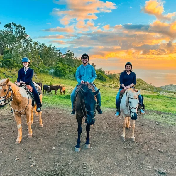 Three people on horses in a grassy landscape with a sunset.