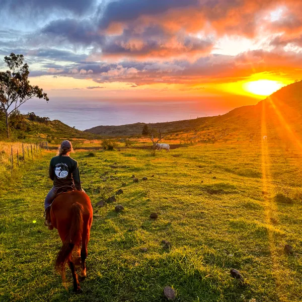 Person riding a horse on a green pasture at sunset with an ocean view.