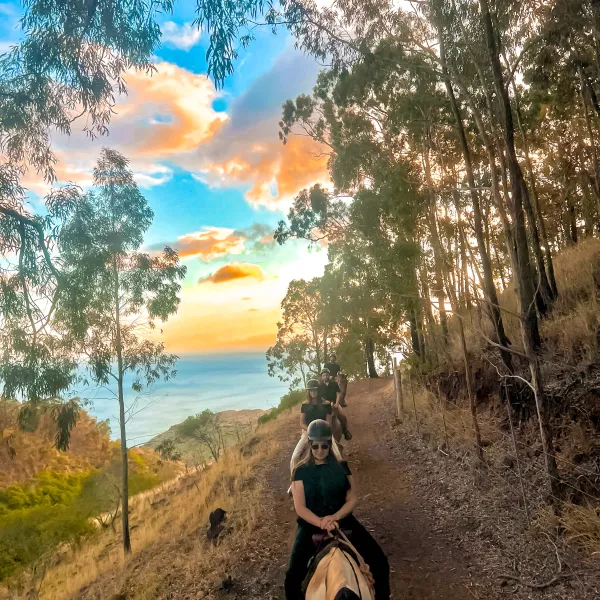 People horseback riding on a scenic trail with trees and a colorful sky at sunset.