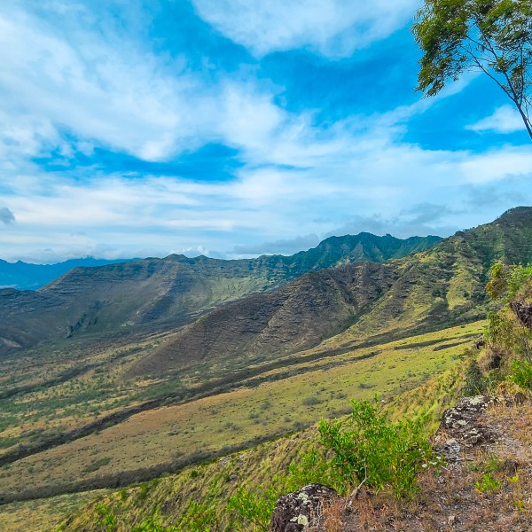Mountain landscape with trees and a bright, cloudy sky.