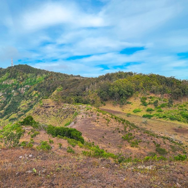 Hilly landscape with trees and grass under a blue sky with clouds.