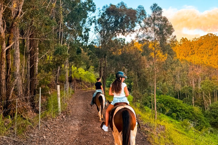 Two people horse riding on a forest trail with trees and blue sky.