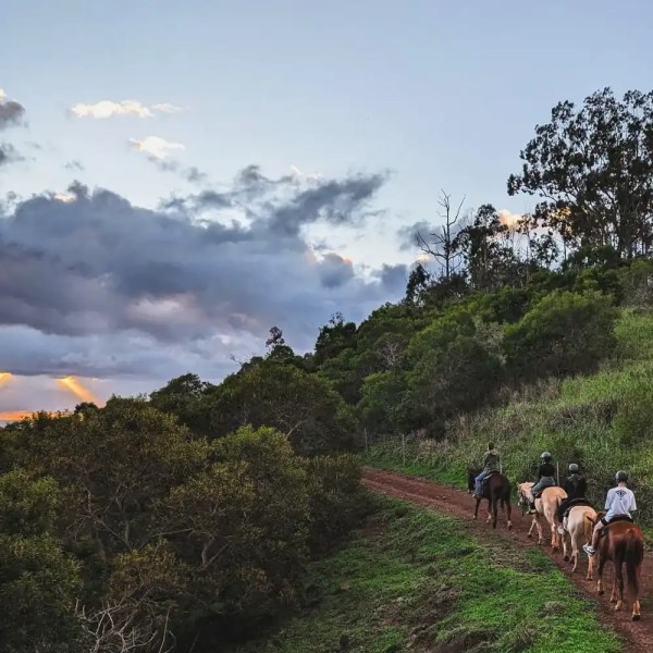 Group of people riding horses on a dirt path during sunset in a hilly landscape.