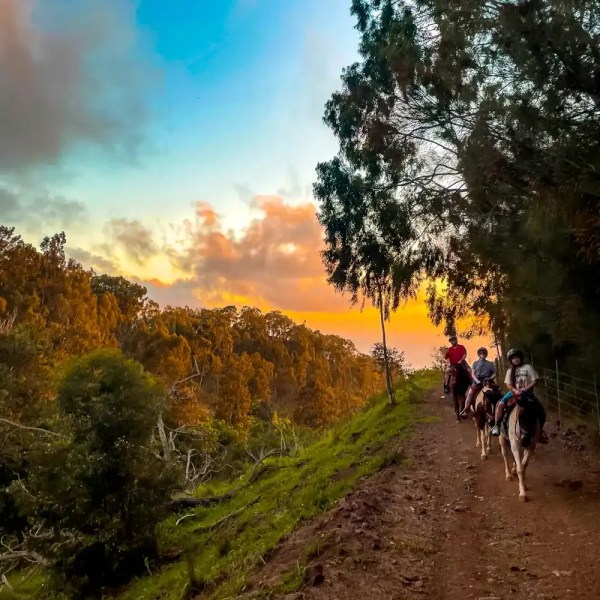 People horseback riding on a dirt path with trees and a vibrant sunset sky.