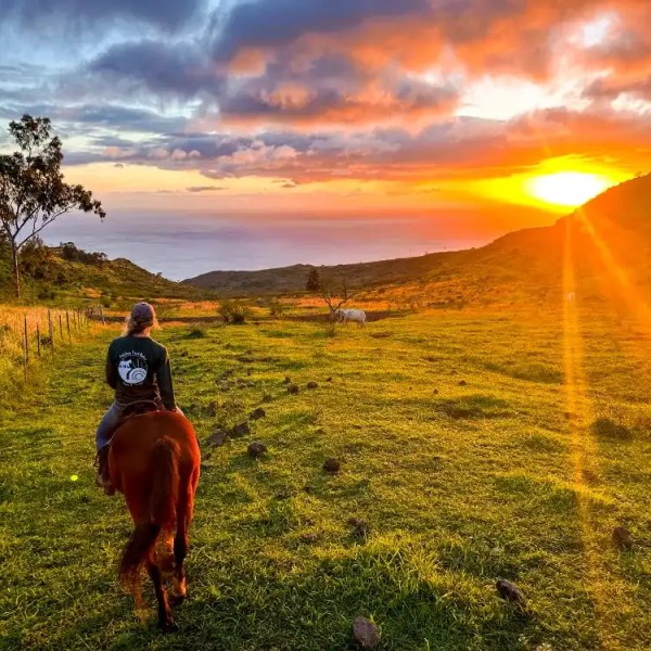 Person riding a horse on a grassy hill during a vibrant sunset with an ocean view.