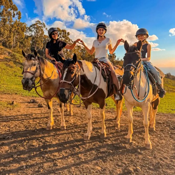 Three people on horses wearing helmets, holding hands against a blue sky and green field.