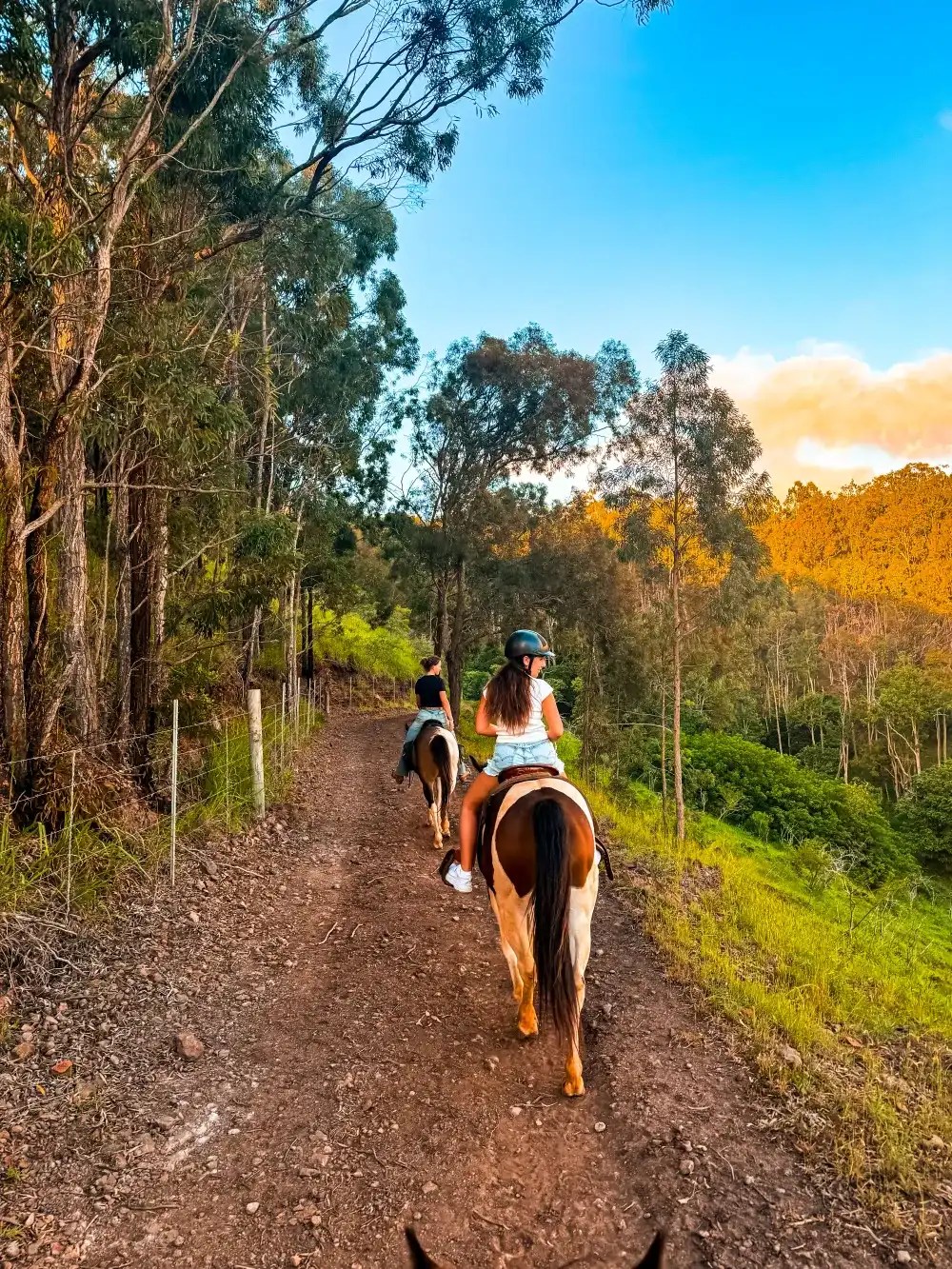 Two people horseback riding on a forest trail under a blue sky with trees around.