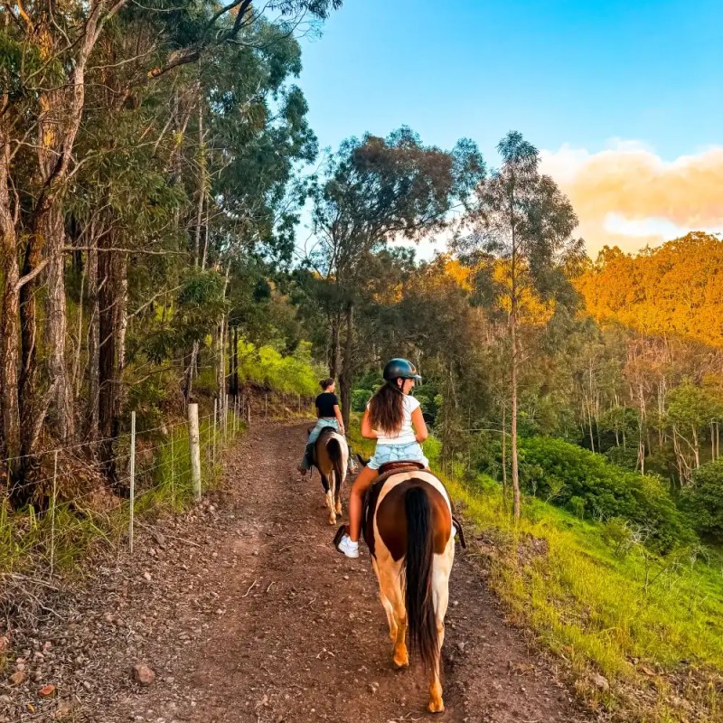Two people horseback riding on a dirt path through a forest under a blue sky.