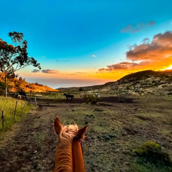 Horseback rider's view of a sunset over a grassy landscape with other horses in the distance.