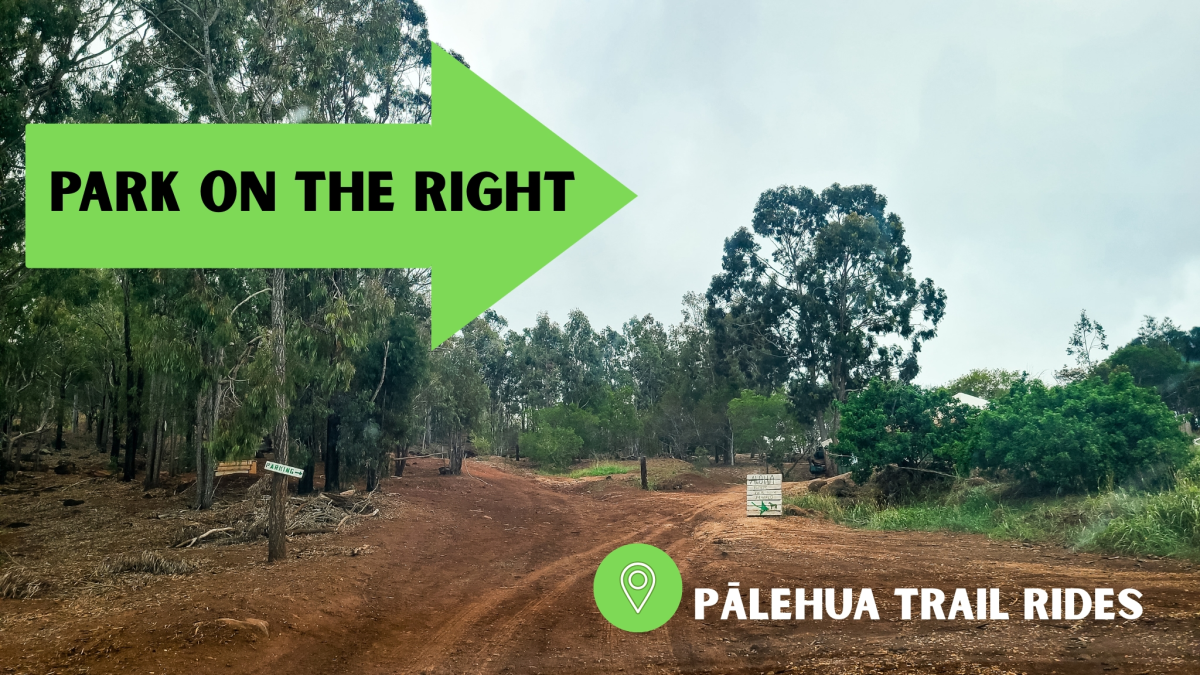 Dirt road in forest with green arrow sign reading 'Park on the Right' and 'Pālehua Trail Rides' text.