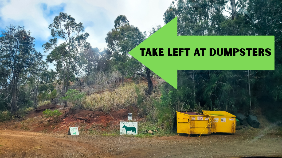 Sign with arrow 'TAKE LEFT AT DUMPSTERS' near yellow dumpsters and trees.