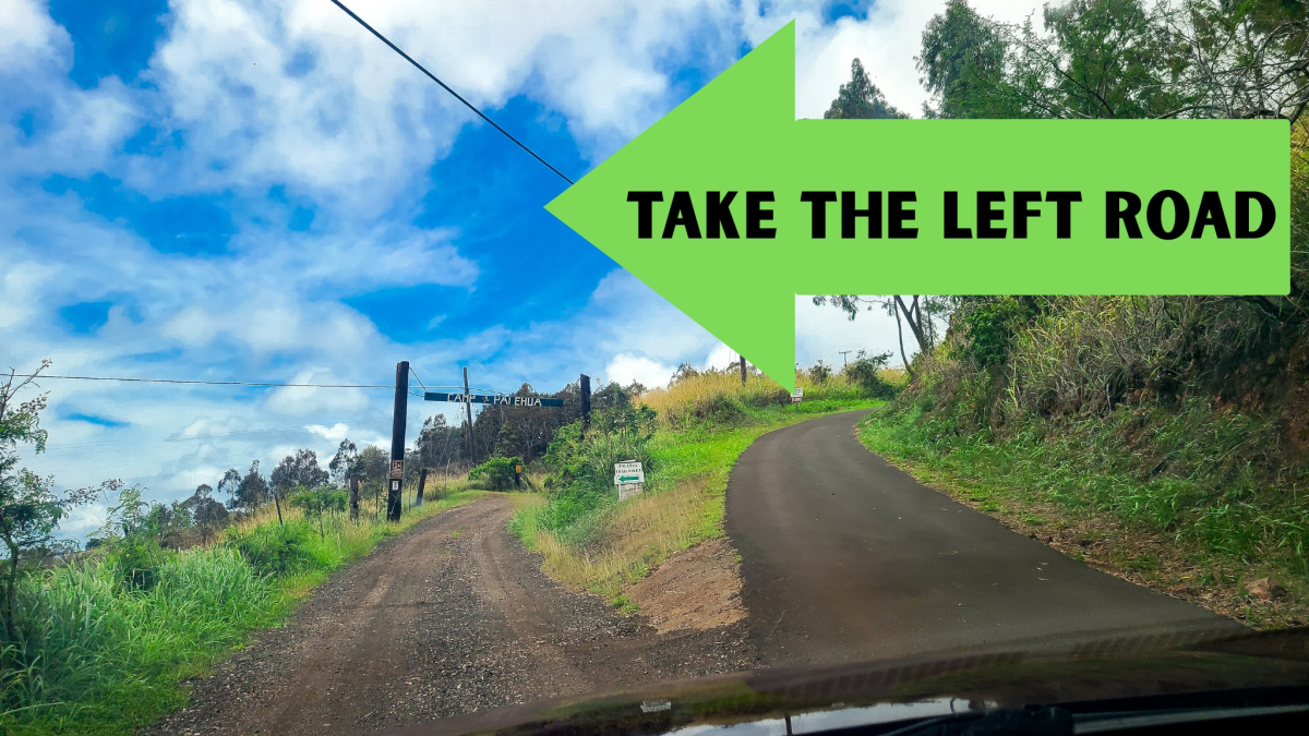 Diverging dirt and paved roads with green arrow saying 'Take the Left Road' against a cloudy sky.