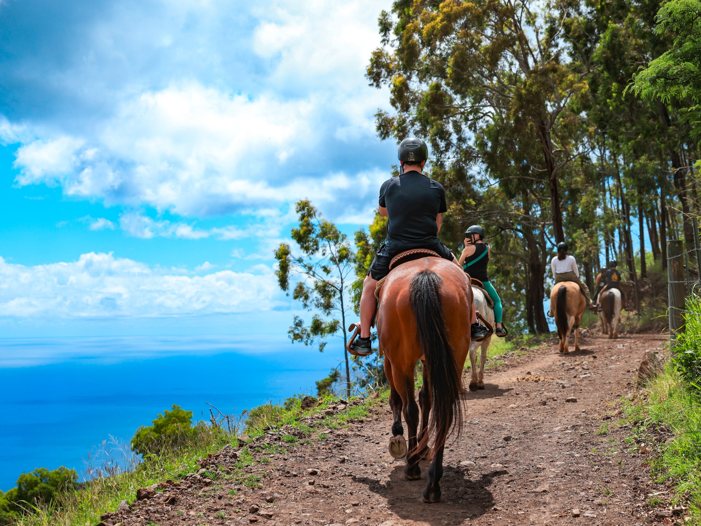 People horseback riding on a scenic trail with ocean view.