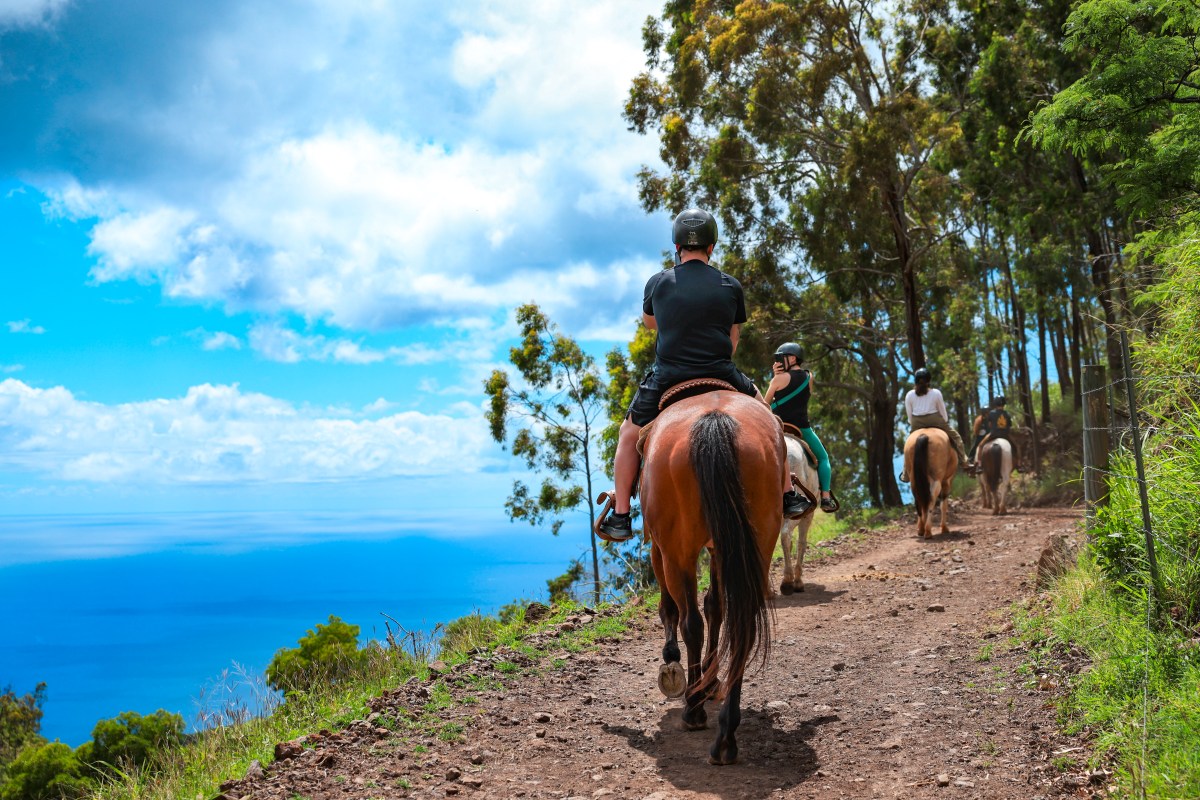 Bright blue Pacific Ocean views on horseback overlooking Ko Olina