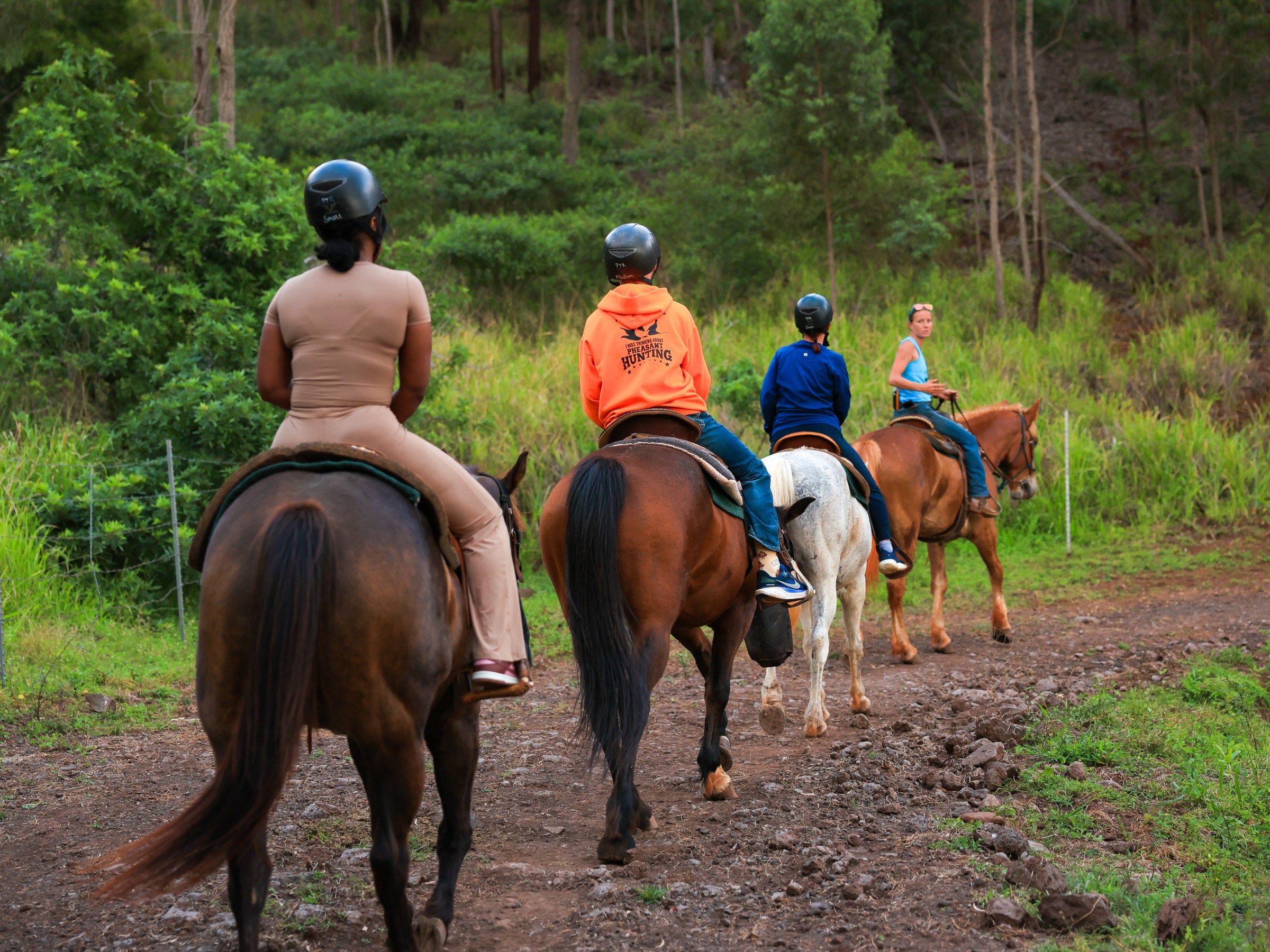 Four people horseback riding on a forest trail.