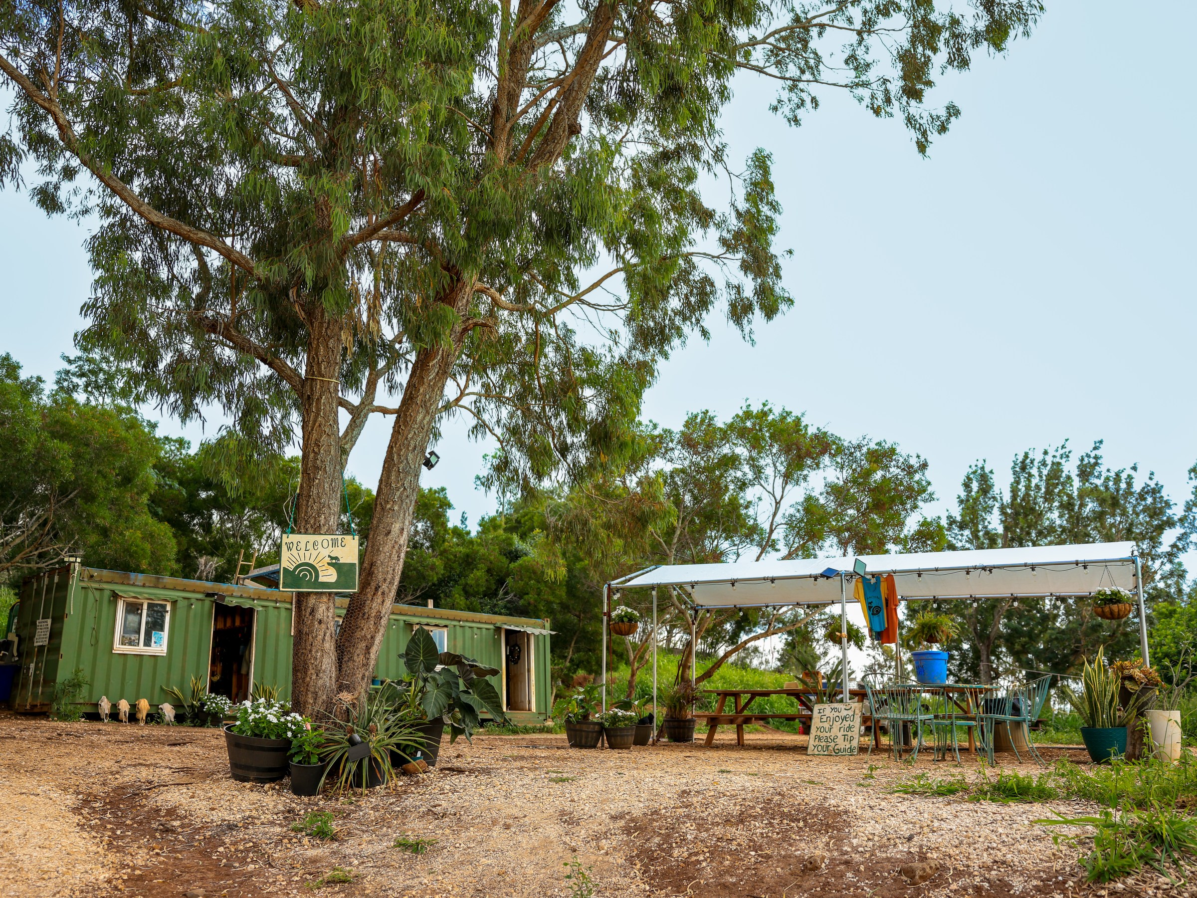 Rustic farm stand with tables under a canopy, surrounded by trees.