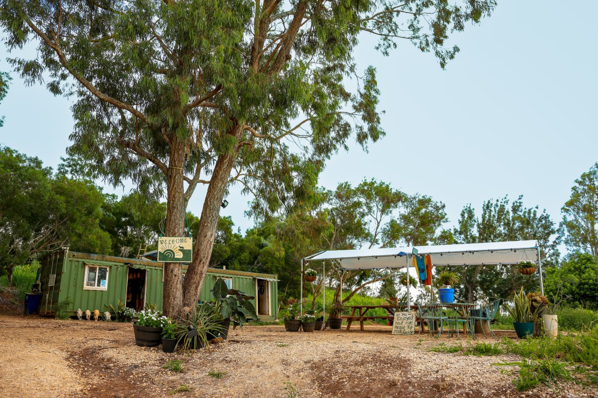 Pālehua Trail Rides check-in area