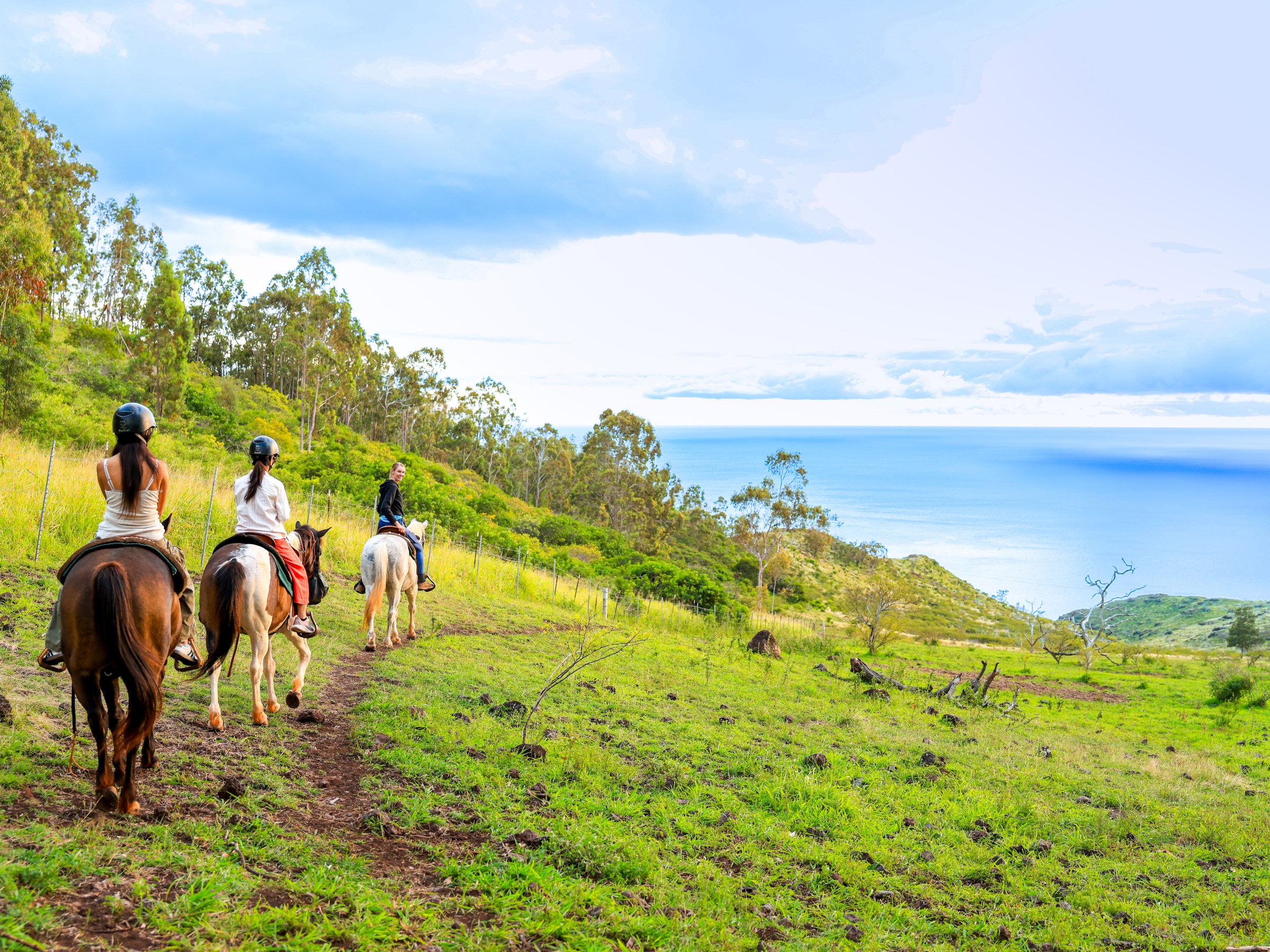 People horseback riding on a grassy trail overlooking the ocean.