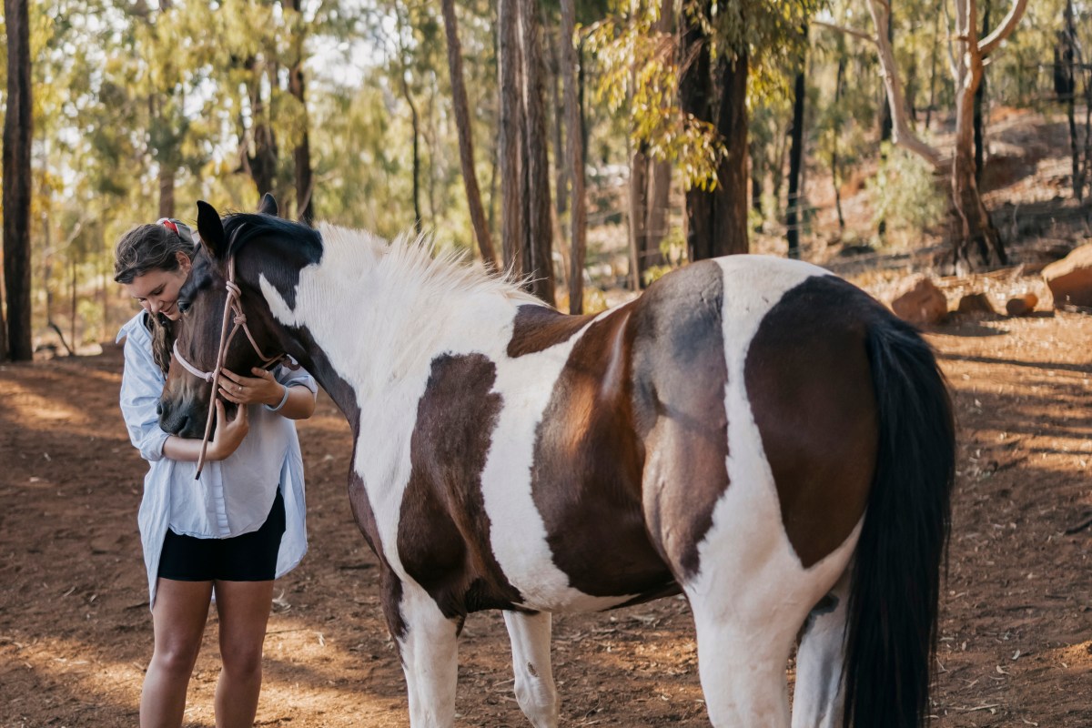 One on one time with horses after the tour