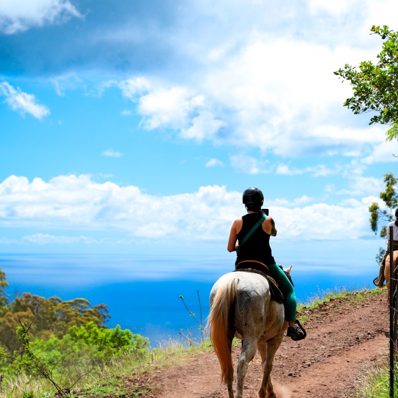 Person riding a horse on a trail with ocean view.