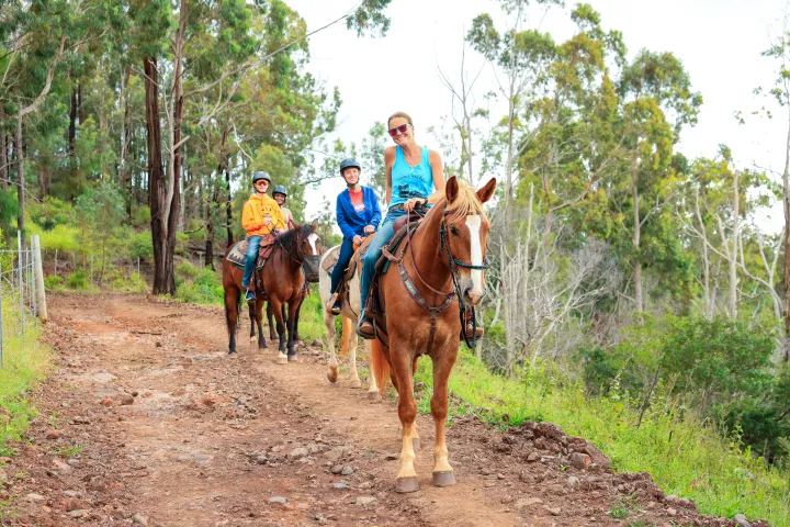 Three people horseback riding on a forest trail.