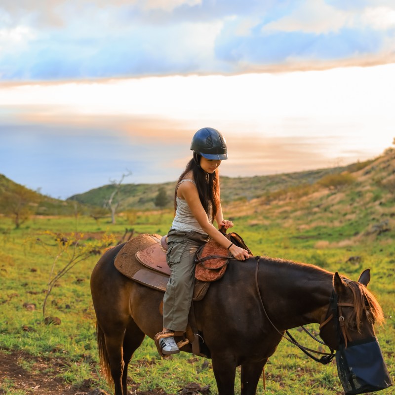 Person riding a horse on a grassy hill at sunset.